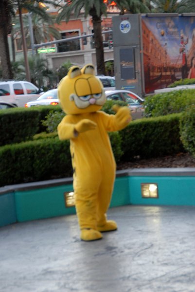 2011-07-14_Las Vegas-Tag19_229.jpg